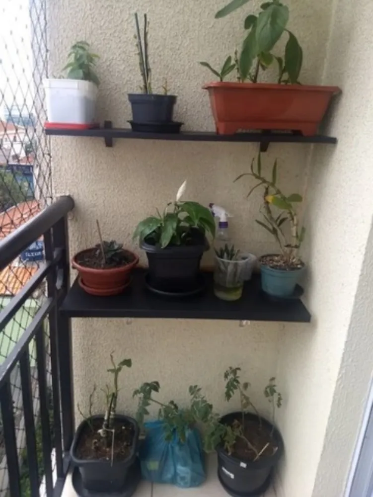 Apartamento, 2 quartos, 50 m² - Foto 6
