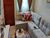 Casa, 3 quartos, 145 m² - Foto 1