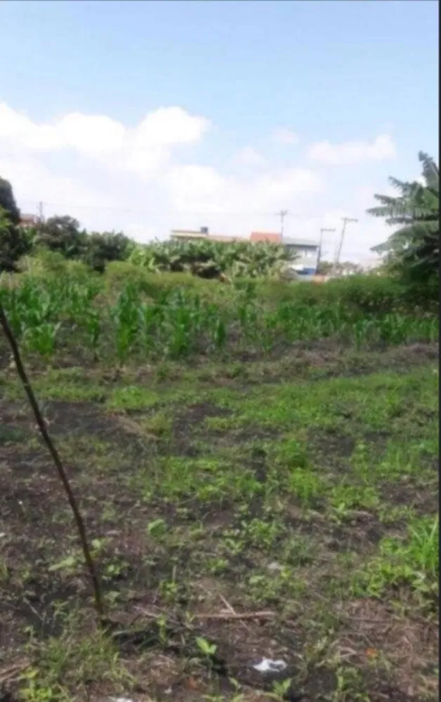 Terreno, 6000 m² - Foto 2