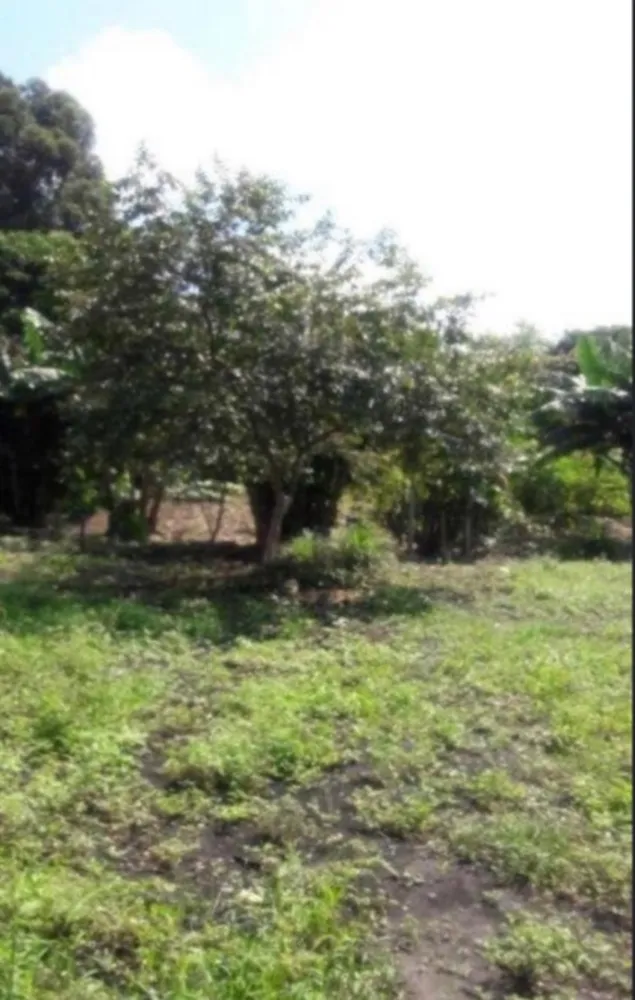 Terreno, 6000 m² - Foto 7