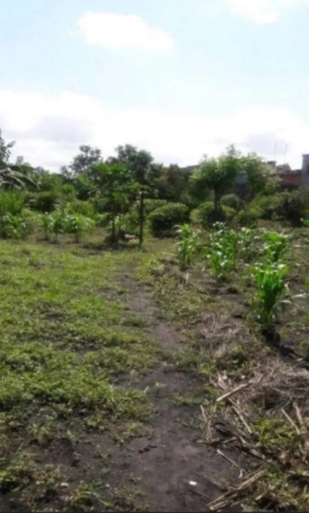 Terreno, 6000 m² - Foto 5