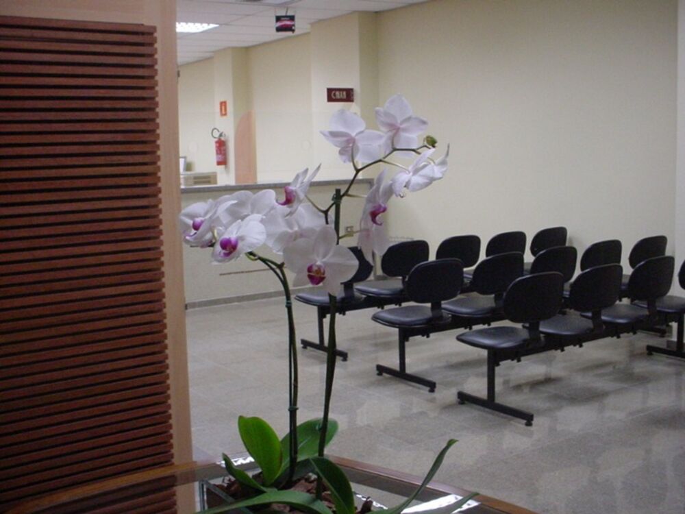 Loja-Salão, 560 m² - Foto 10