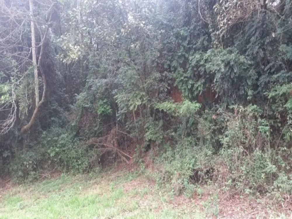Terreno, 6000 m² - Foto 2