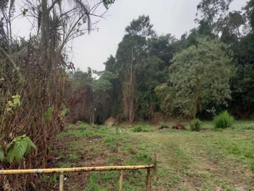 Terreno, 6000 m² - Foto 3