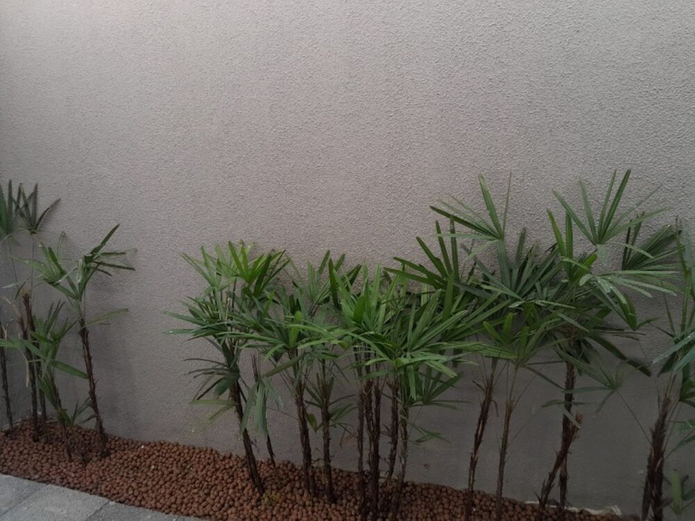 Apartamento, 1 quarto, 40 m² - Foto 3