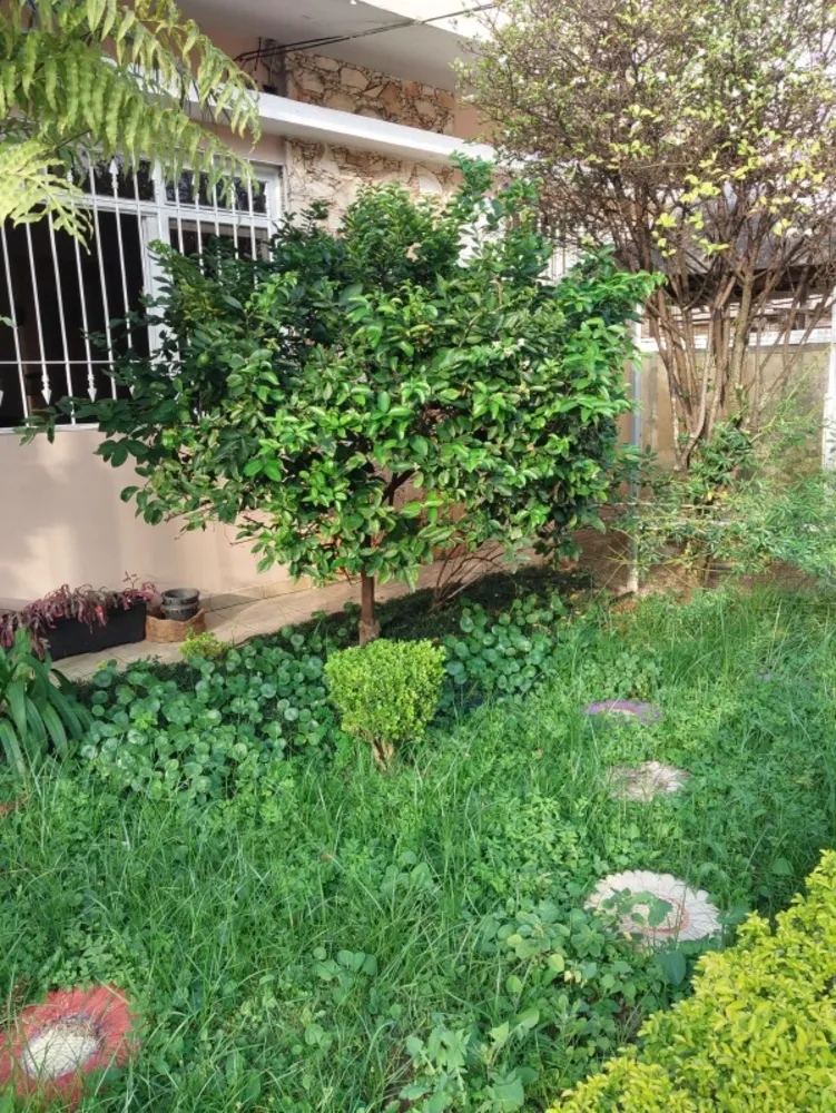 Casa, 3 quartos, 170 m² - Foto 11