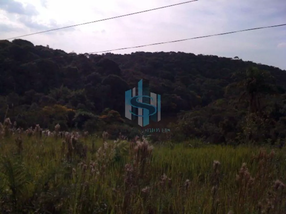 Terreno, 38 hectares - Foto 2