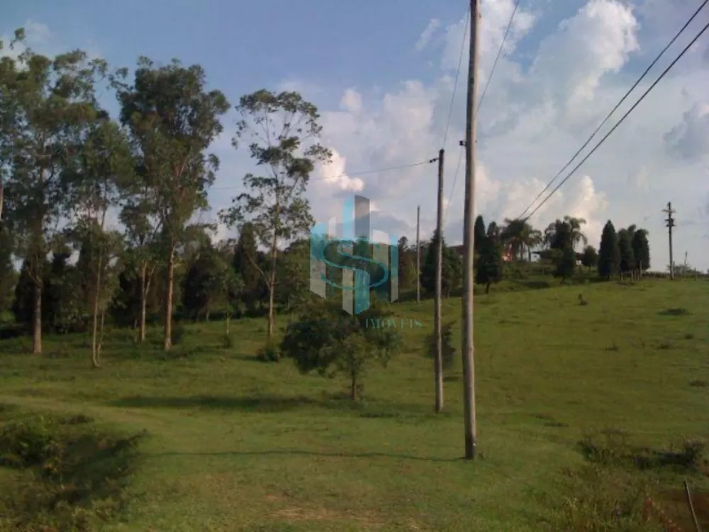 Terreno, 38 hectares - Foto 3