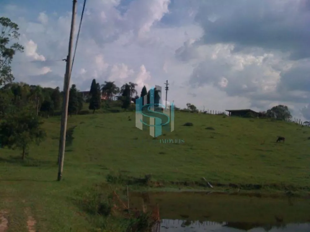 Terreno, 38 hectares - Foto 4