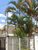 Casa, 4 quartos, 210 m² - Foto 3