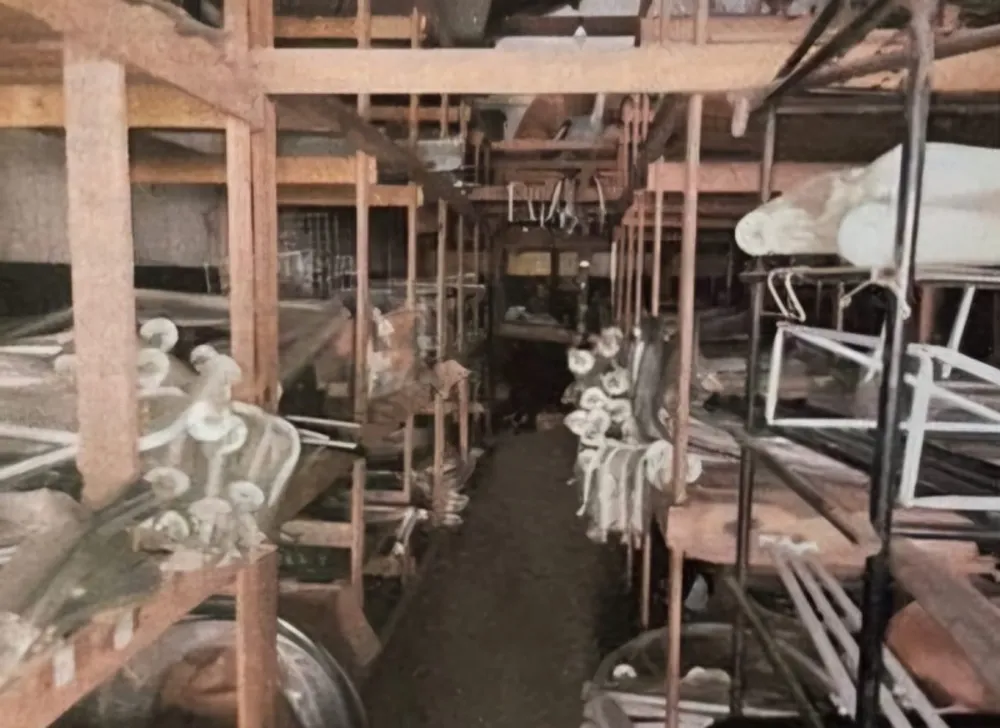 Depósito-Galpão, 300 m² - Foto 6
