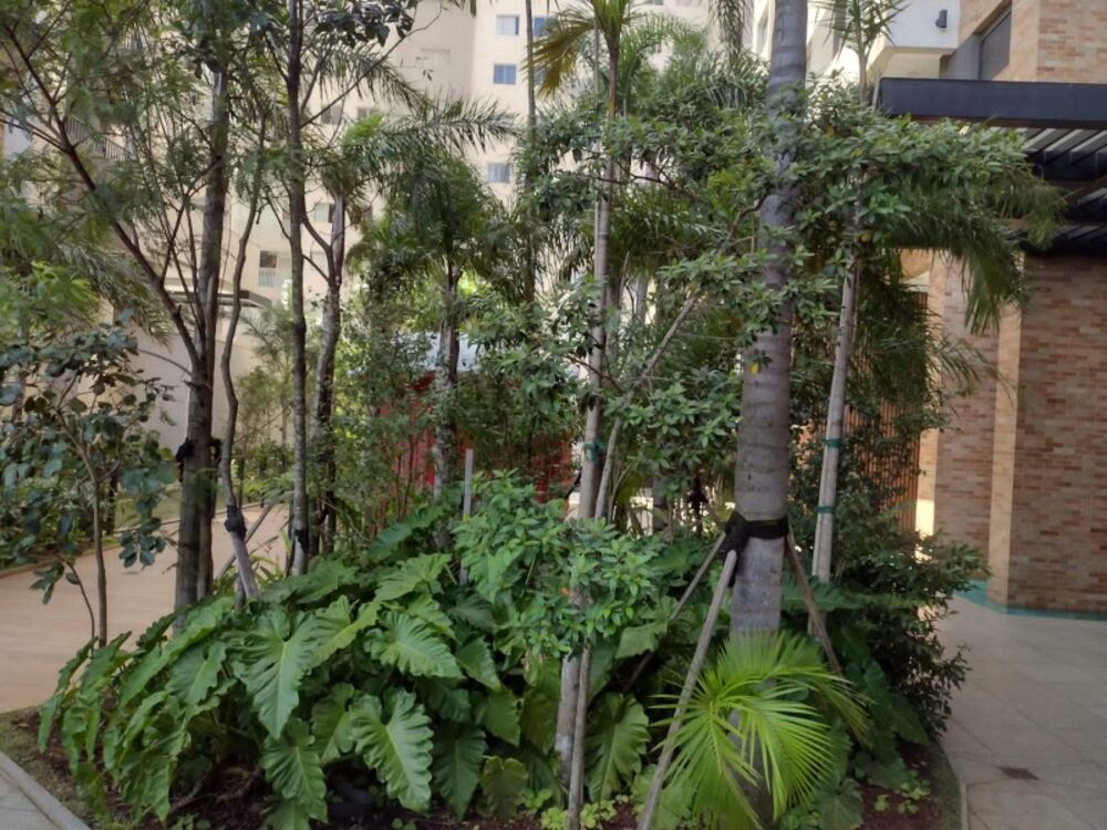 Apartamento, 2 quartos, 50 m² - Foto 13