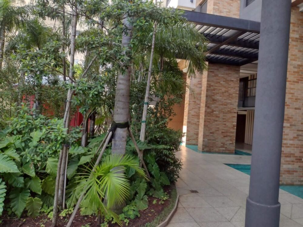 Apartamento, 2 quartos, 50 m² - Foto 24