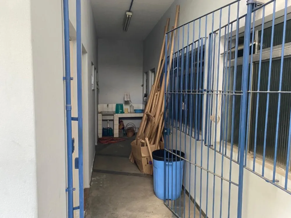 Prédio Inteiro, 230 m² - Foto 7