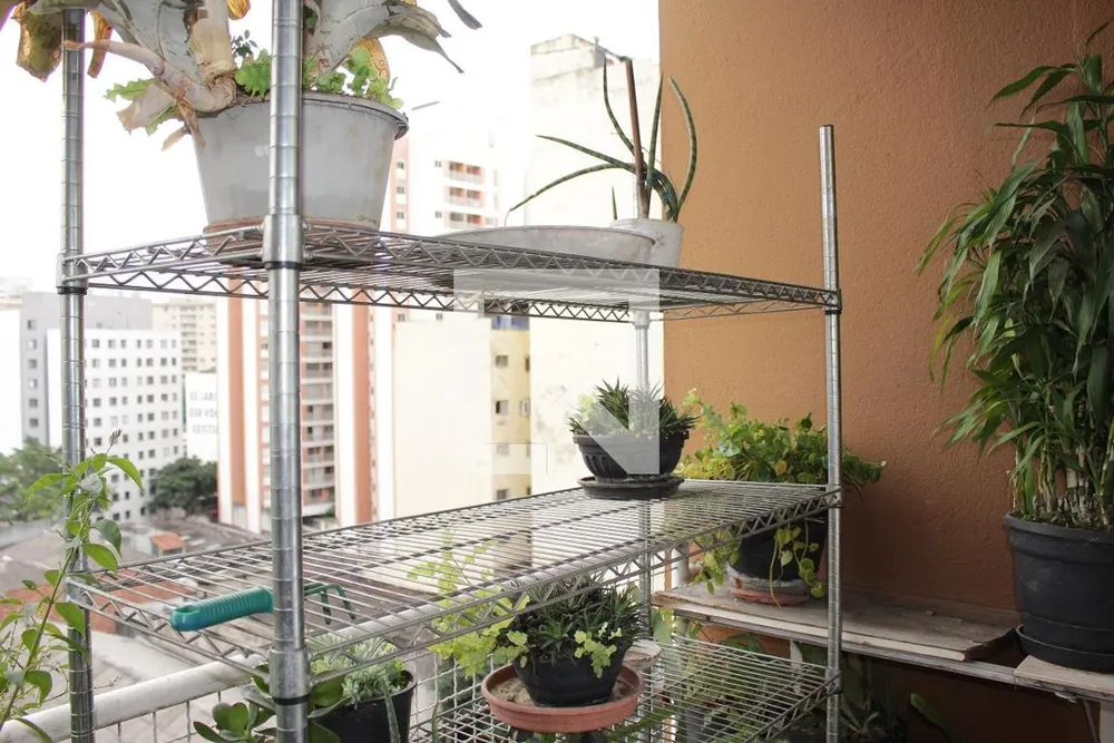 Apartamento, 3 quartos, 235 m² - Foto 1