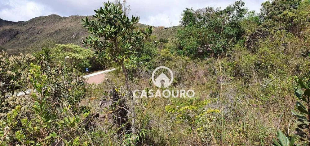 Loteamento e Condomínio, 2835 m² - Foto 3