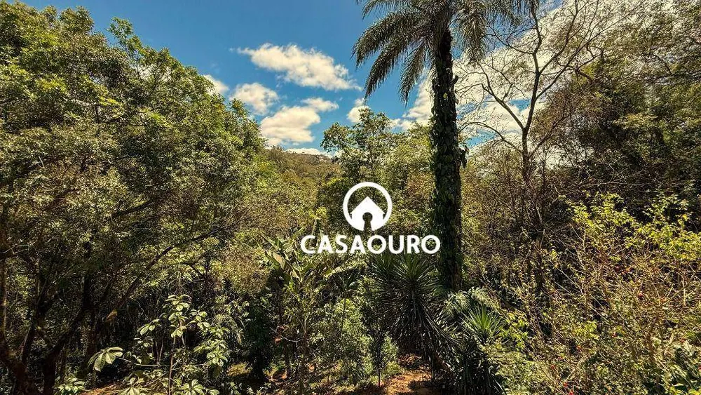 Casa, 4 quartos, 480 m² - Foto 7