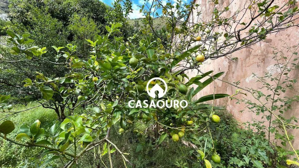 Casa, 3 quartos, 477 m² - Foto 16