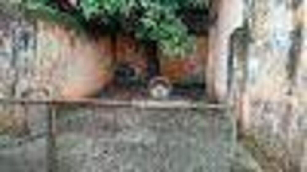 Terreno, 300 m² - Foto 7