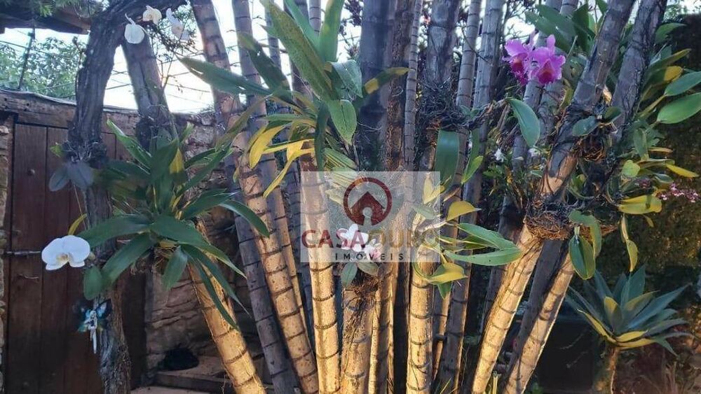 Casa à venda com 5 quartos, 750m² - Foto 10