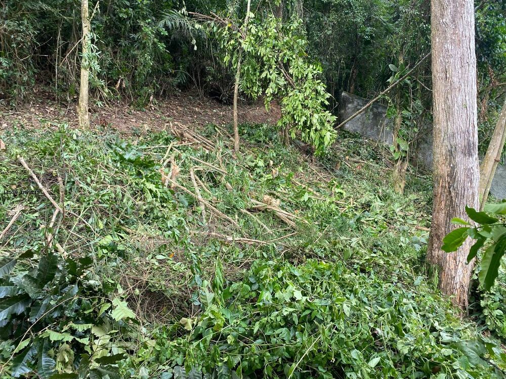 Terreno, 675 m² - Foto 3