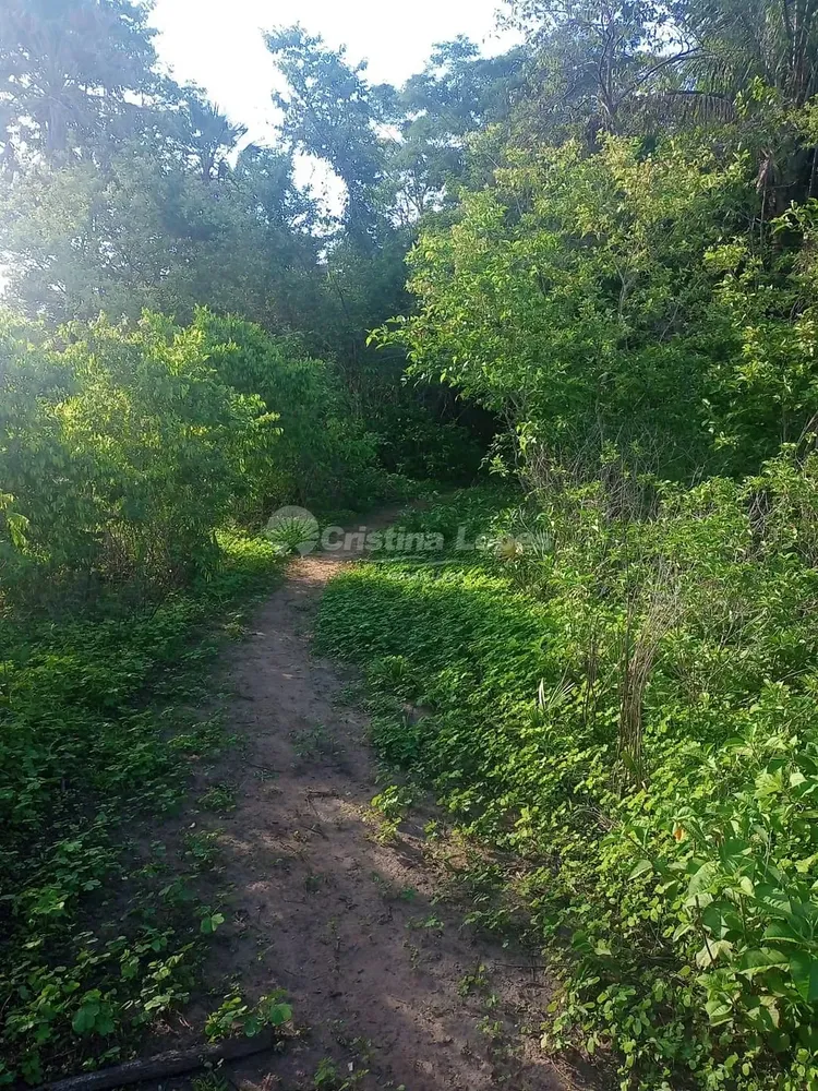 Terreno, 21 hectares - Foto 6