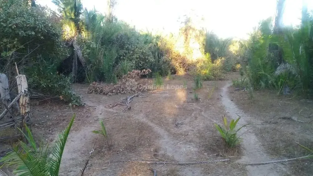 Terreno, 21 hectares - Foto 7