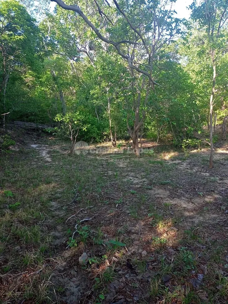 Terreno, 21 hectares - Foto 2