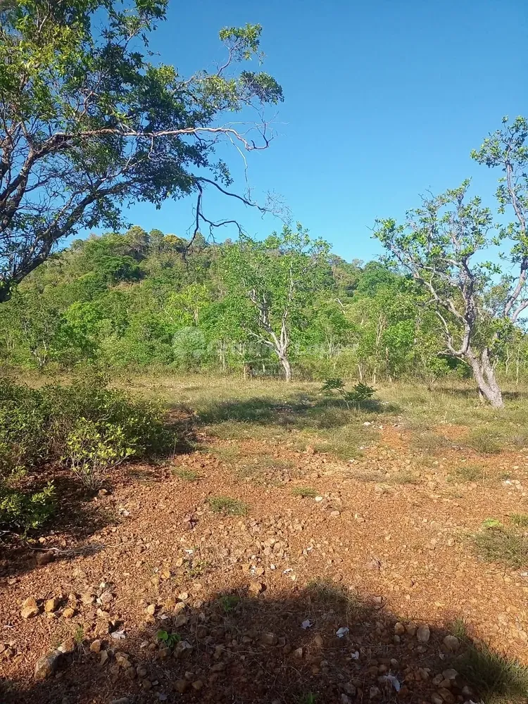 Terreno, 21 hectares - Foto 3