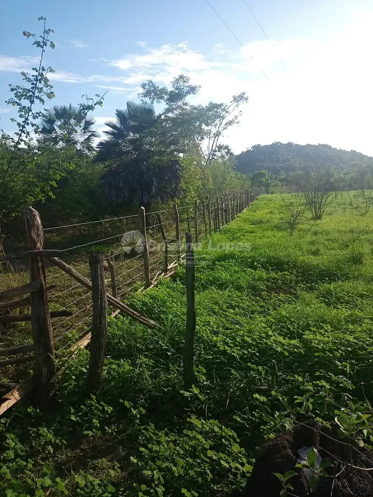 Terreno, 21 hectares - Foto 4
