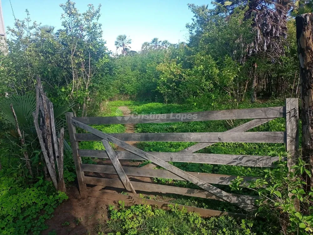Terreno, 21 hectares - Foto 1