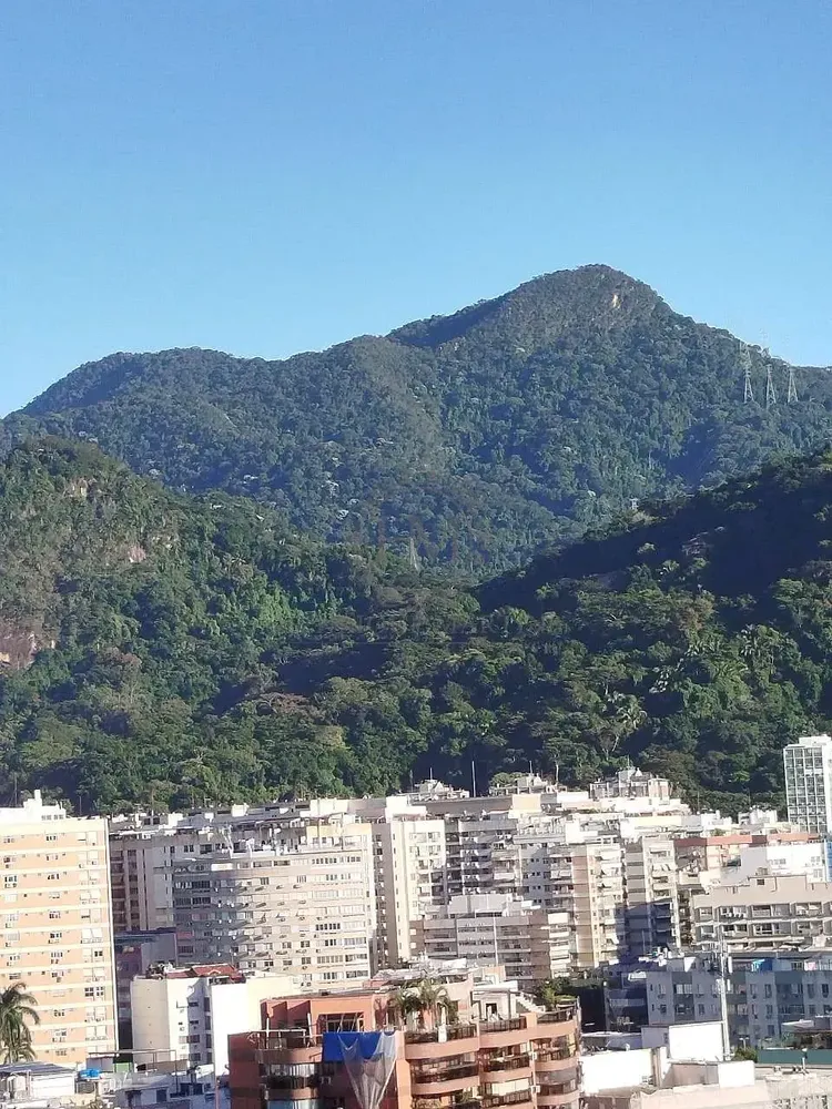 Apartamento, 3 quartos, 84 m² - Foto 17