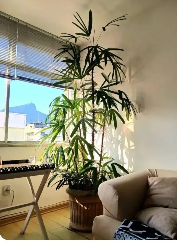 Apartamento, 3 quartos, 84 m² - Foto 38