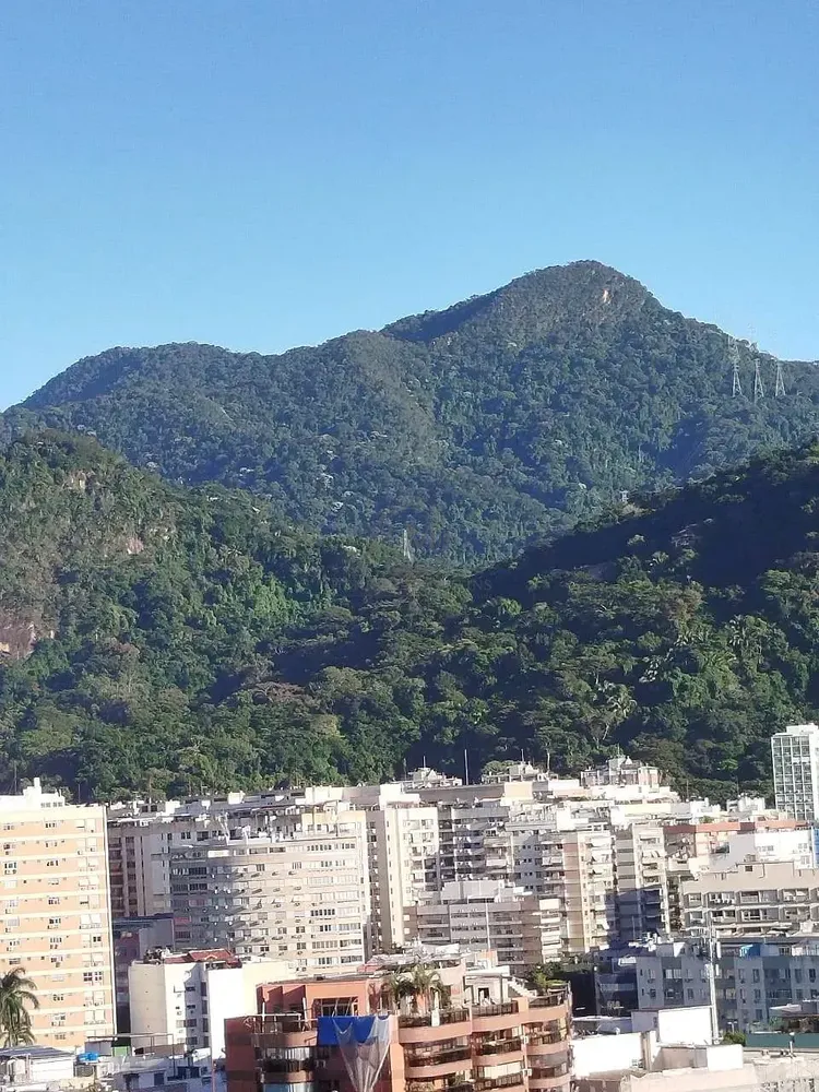 Apartamento, 3 quartos, 84 m² - Foto 31