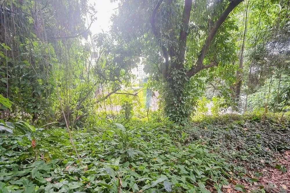 Casa, 1 quarto, 450 m² - Foto 42