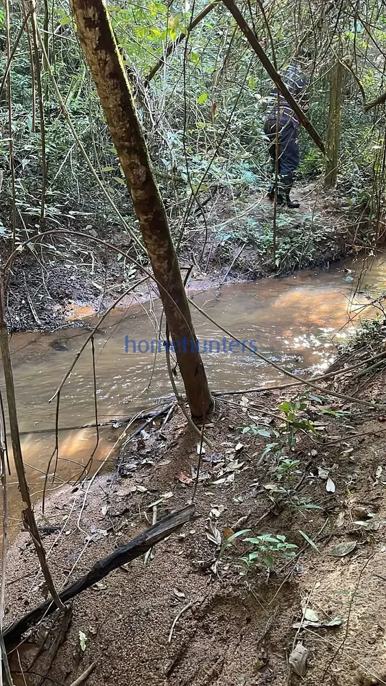 Sítio, 12 quartos, 2 hectares - Foto 4