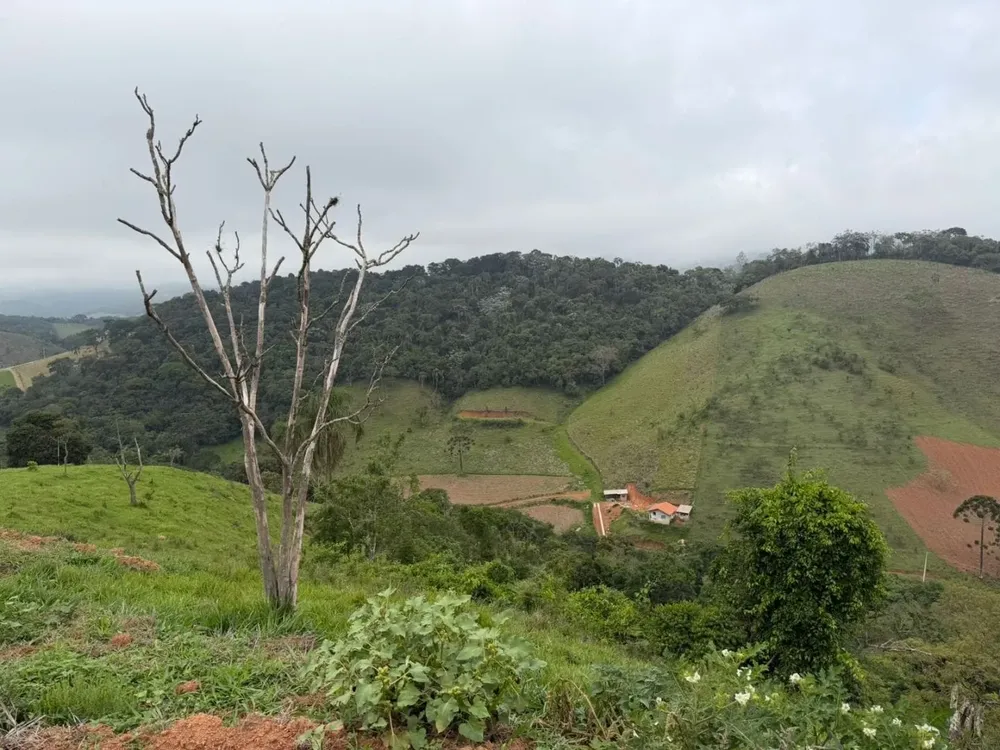 Terreno, 1008 m² - Foto 3