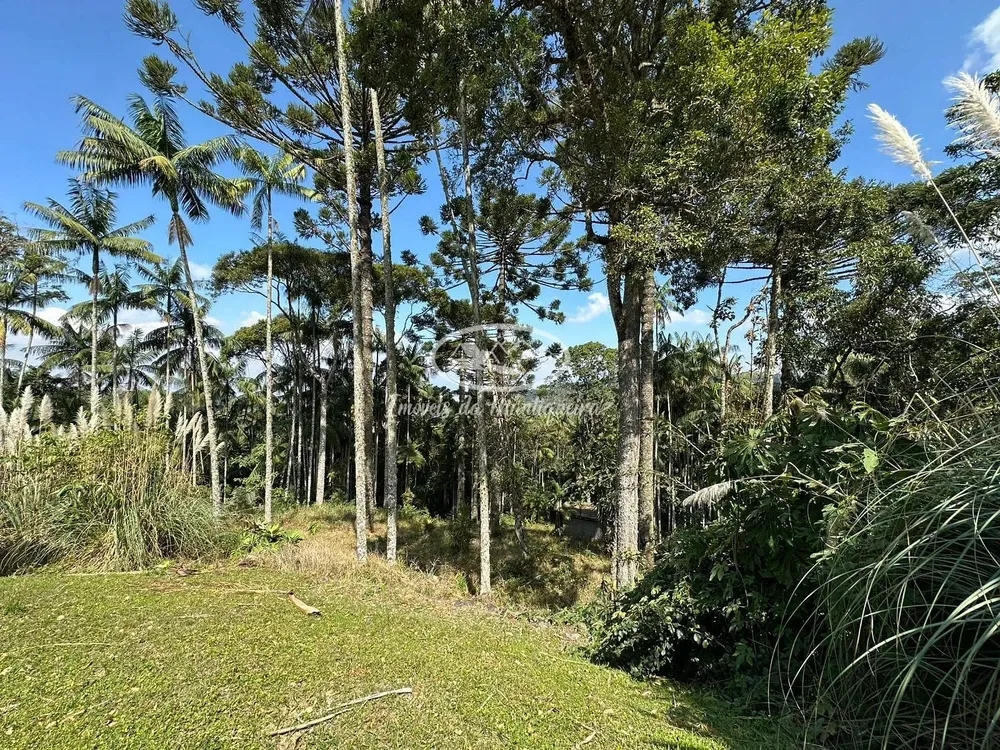 Sítio, 11 quartos, 2 hectares - Foto 76