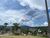 Terreno, 62 hectares - Foto 4