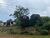 Terreno, 62 hectares - Foto 3