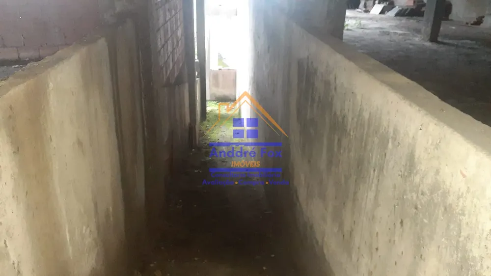Casa, 5 quartos, 285 m² - Foto 3