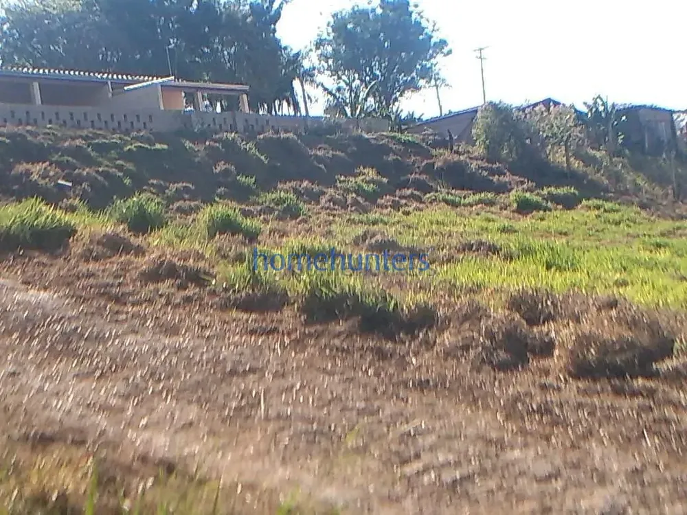 Chácara, 4 quartos, 7000 m² - Foto 2