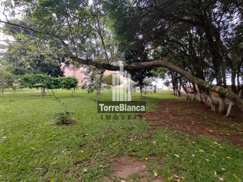 Apartamento, 2 quartos, 55 m² - Foto 6