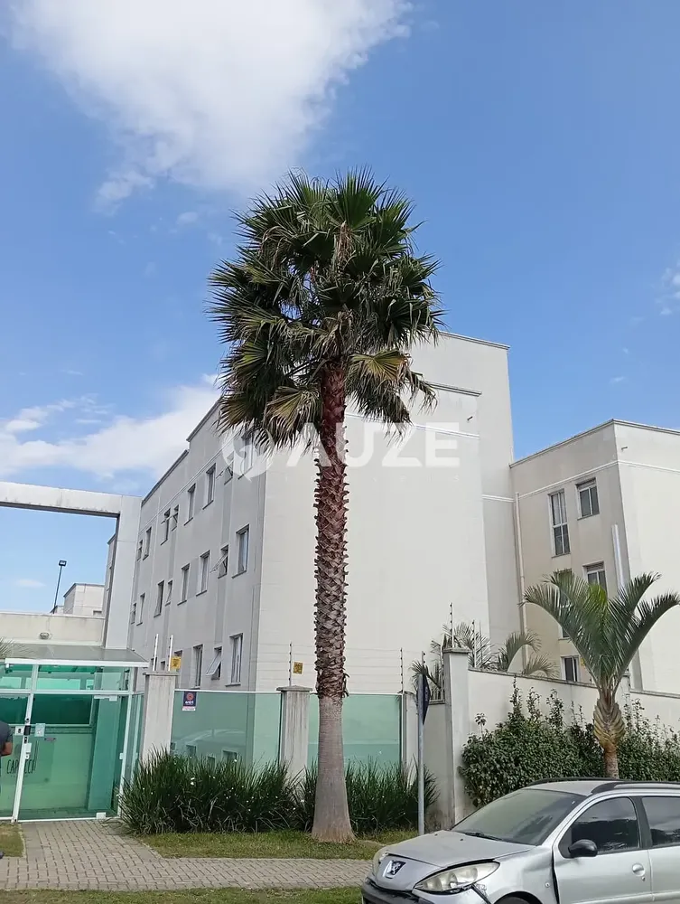 Apartamento, 2 quartos, 42 m² - Foto 7