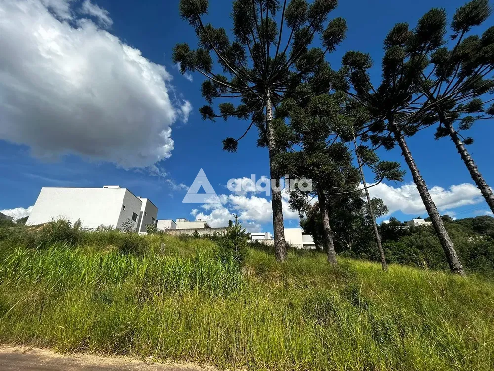 Terreno, 401 m² - Foto 3