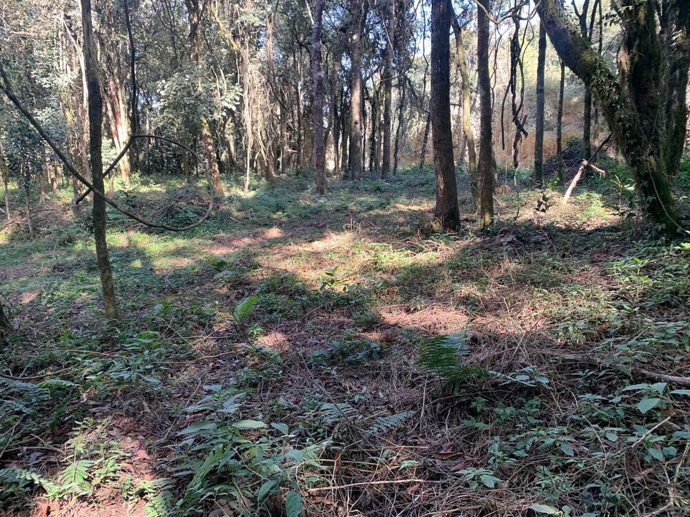 Terreno à venda, 10m² - Foto 4