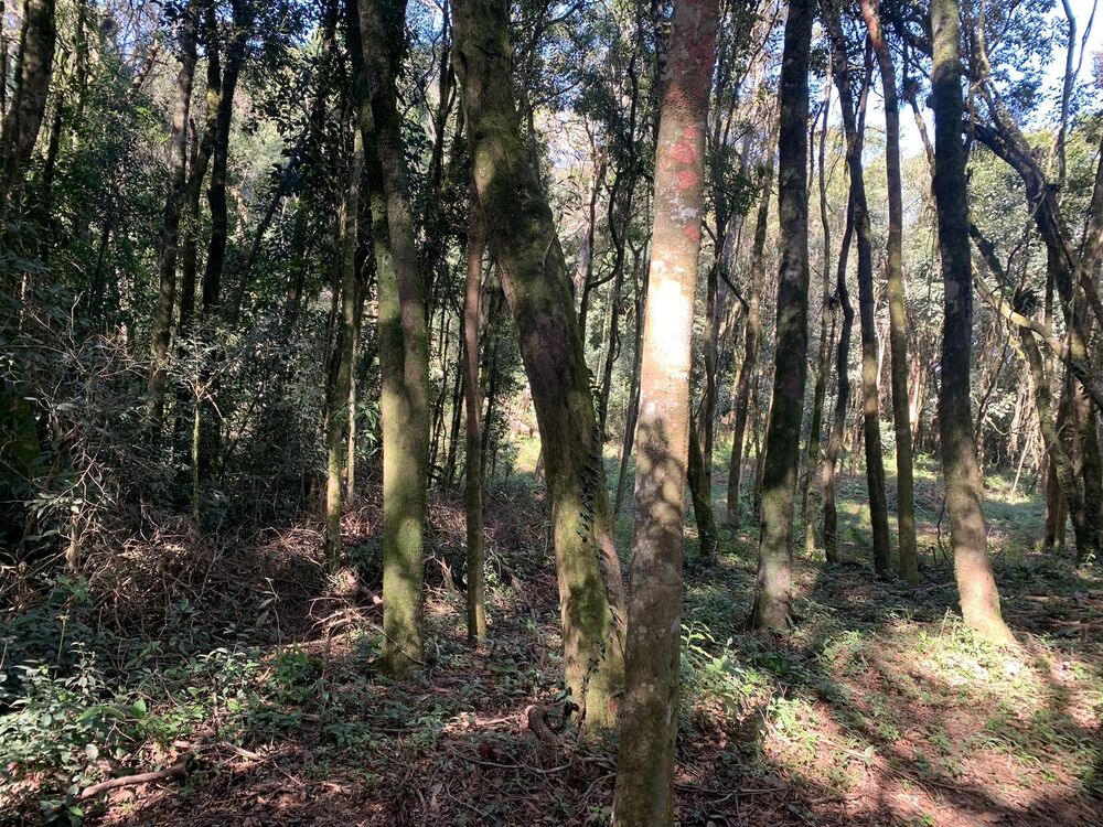 Terreno à venda, 10m² - Foto 3