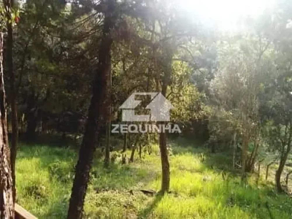 Terreno, 1929 m² - Foto 3