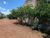 Terreno, 734 m² - Foto 2