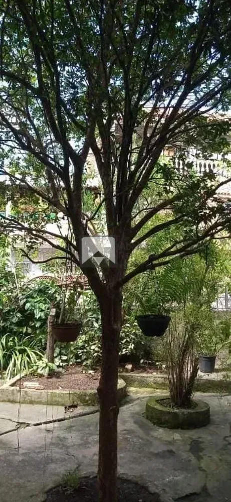 Casa, 3 quartos, 450 m² - Foto 12